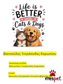 Ράτσα: Άλλη Ράτσα | Ηλικία: 1 έτους | Φύλο: Αρσενικό | Αρ. Microchip: 981021212121212 | Περιοχή: Σπάτα Αρτέμιδα, Αττική